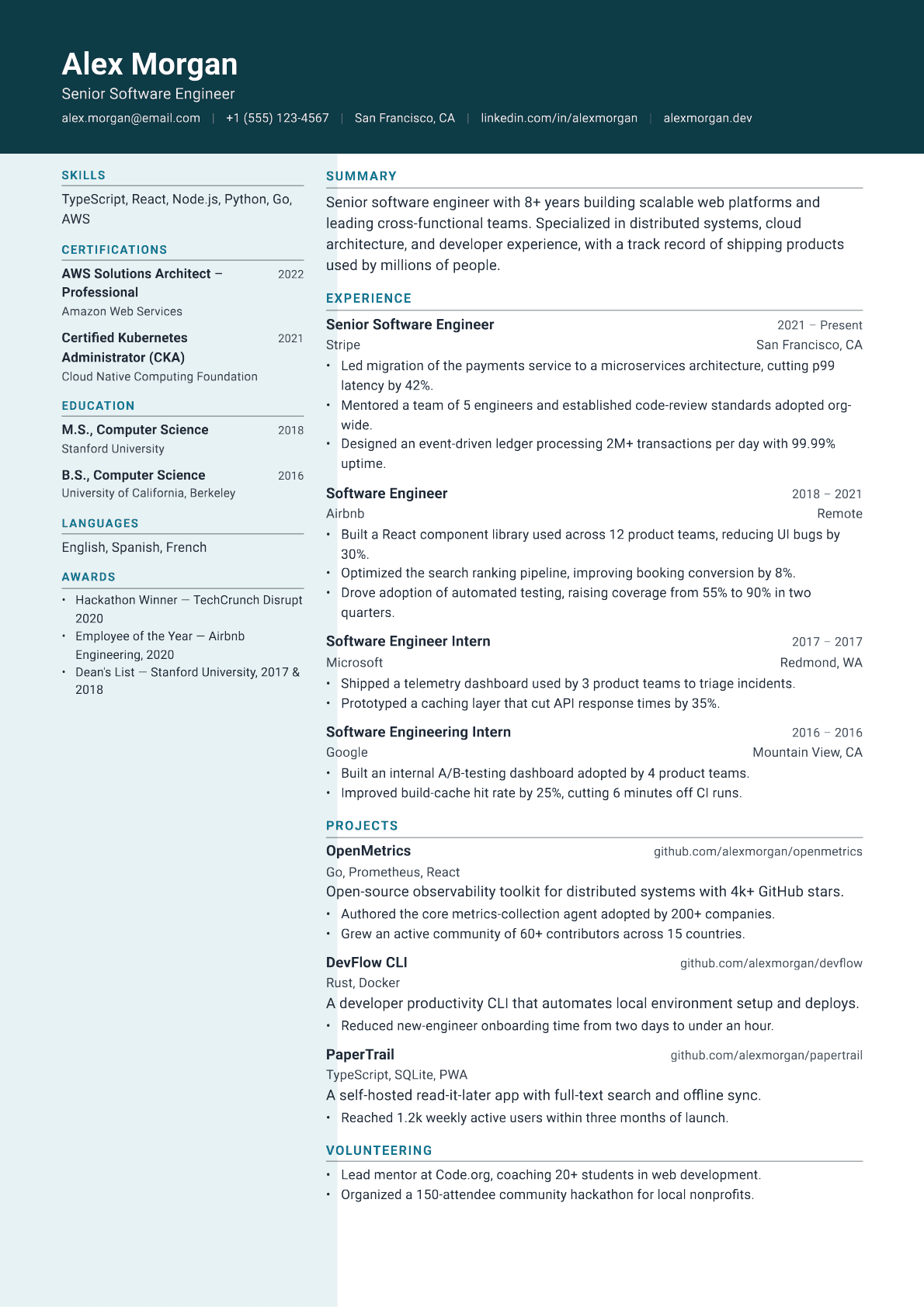 Logistics Director resume template