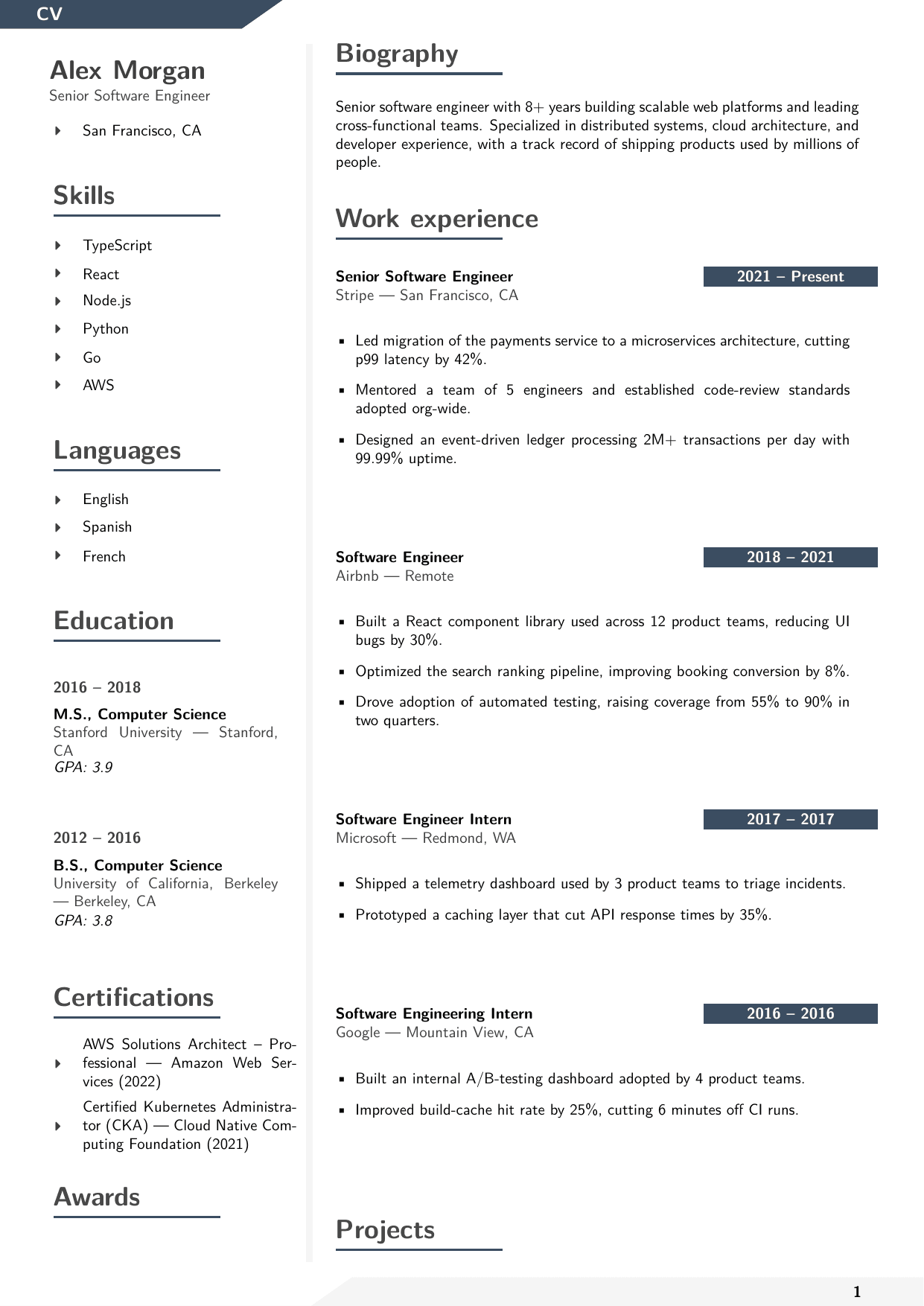 Senior Web Developer LaTeX resume template